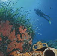 Torre del Greco. Arcipesca: puliamo i fondali marini