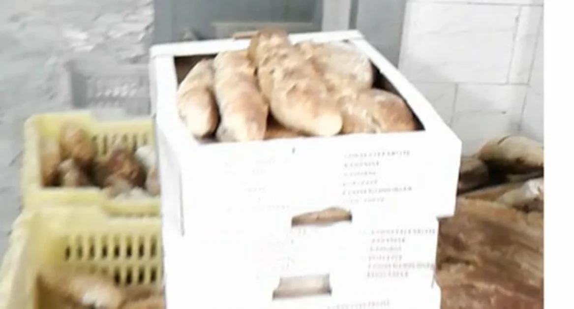 Napoli - Carenze igienico-sanitarie, sequestrato panificio. Sanzioni al titolare per 25 mila euro