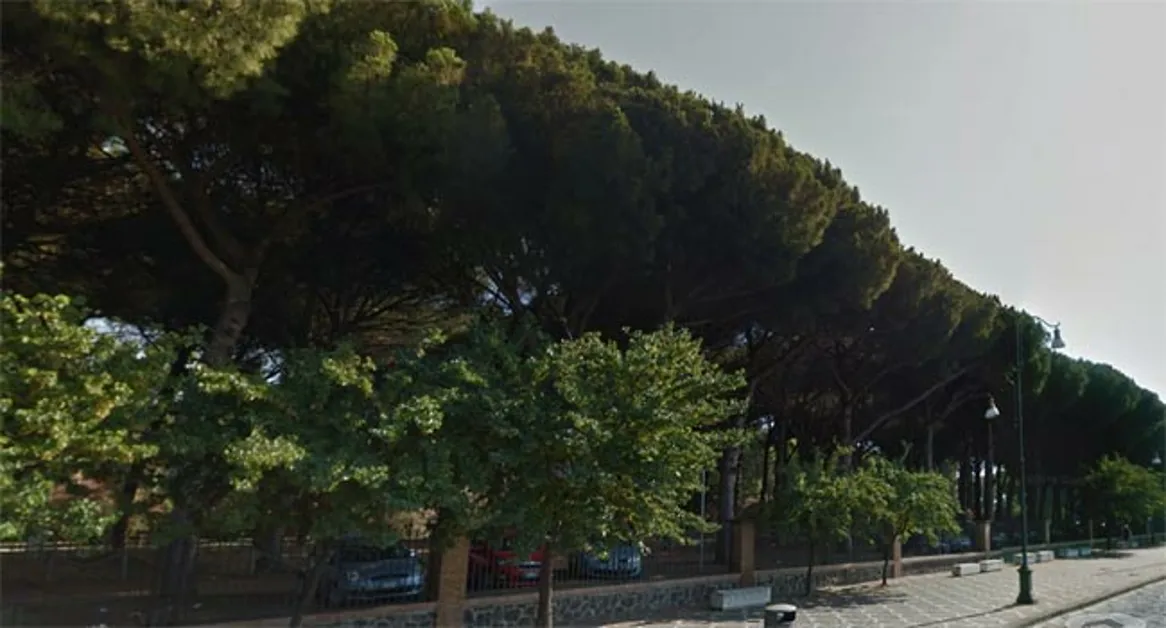 Pompei - I pompeiani premono per tornare nella pineta degli Scavi