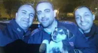 Napoli - Automobilista getta sacchetto in strada, dentro c'era un cucciolo di cane: salvato dai poliziotti