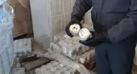 Mariglianella (NA) - Generi alimentari scaduti e in pessimo stato di conservazione, maxi sequestro della GdF