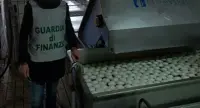 Mozzarella di bufala DOP contraffatta: coinvolto caseificio di S. M. La Carità
