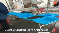Torre Annunziata - Sequestrati 50 chilogrammi di prodotti ittici