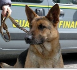 Trecase. Lezione contro l´uso di droghe