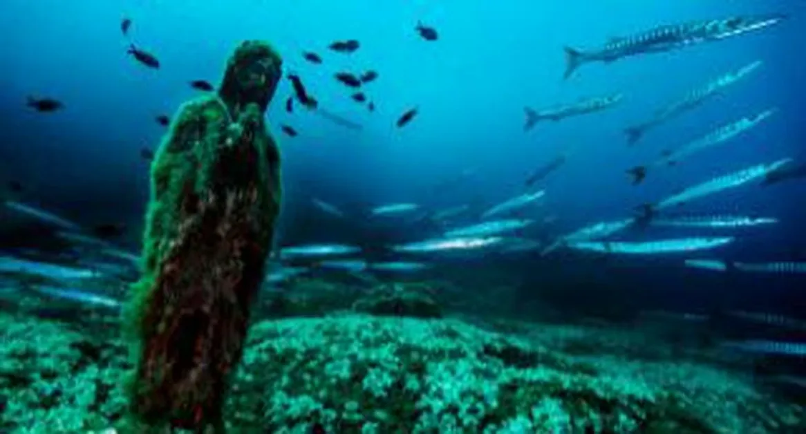 Parco Marino di Punta Campanella, corso di Biologia Marina per studenti universitari
