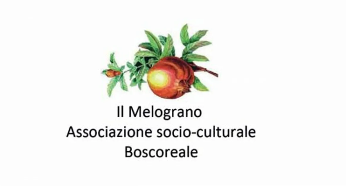 Boscoreale - Diritti negati al cittadino, incontro all'Associazione Il Melograno