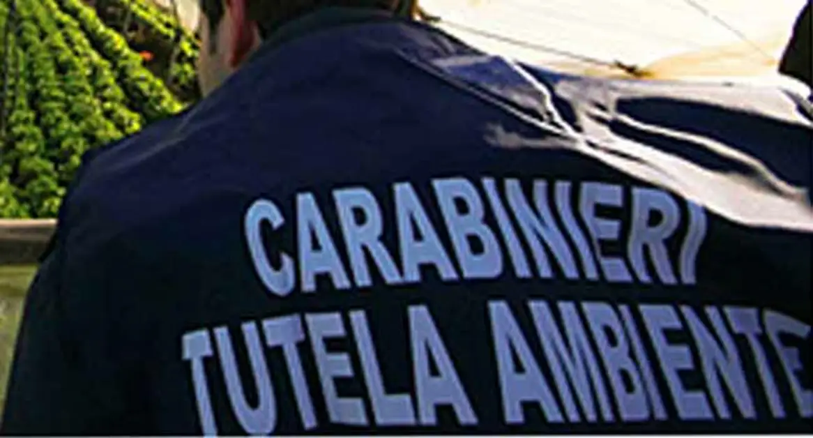 Torre Annunziata - Illecito smaltimento di rifiuti, sigilli ad opificio di via Piombiera