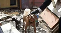 Terzigno - Discarica abusiva e cane con orecchie tagliate, denunciato 46enne