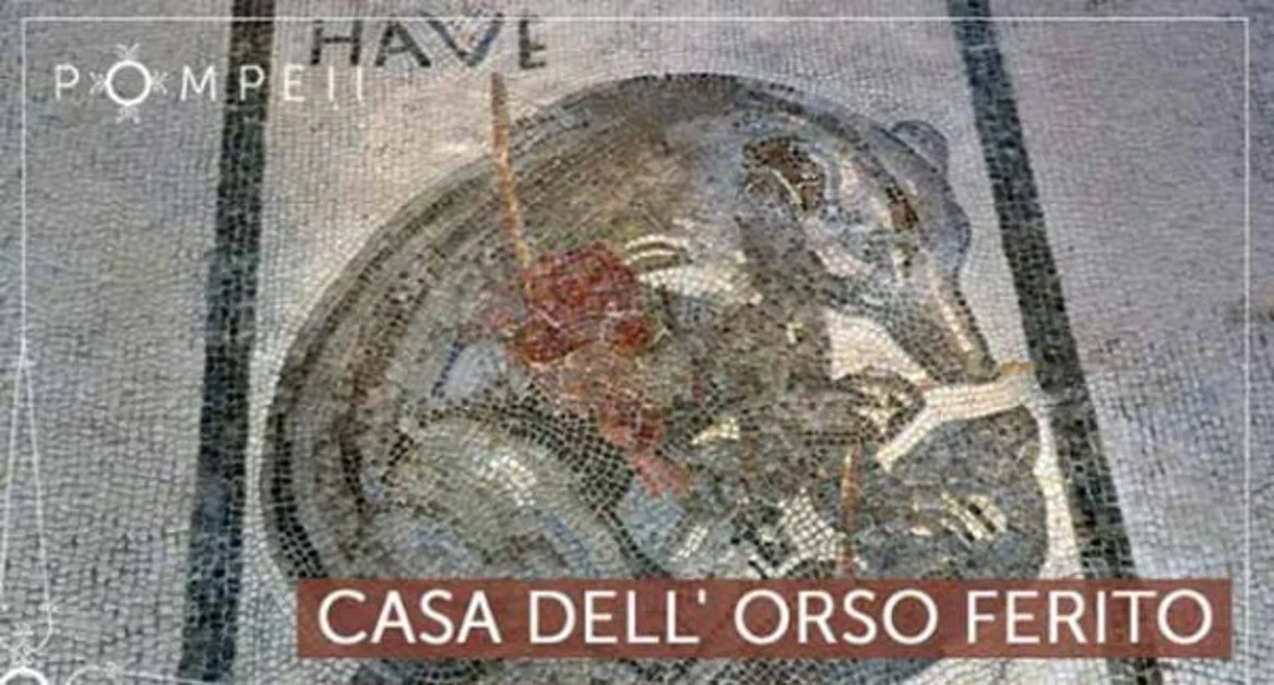 Pompei - Scavi, riaprono al pubblico la Casa dell'Orso ferito e la Casa di Sirico