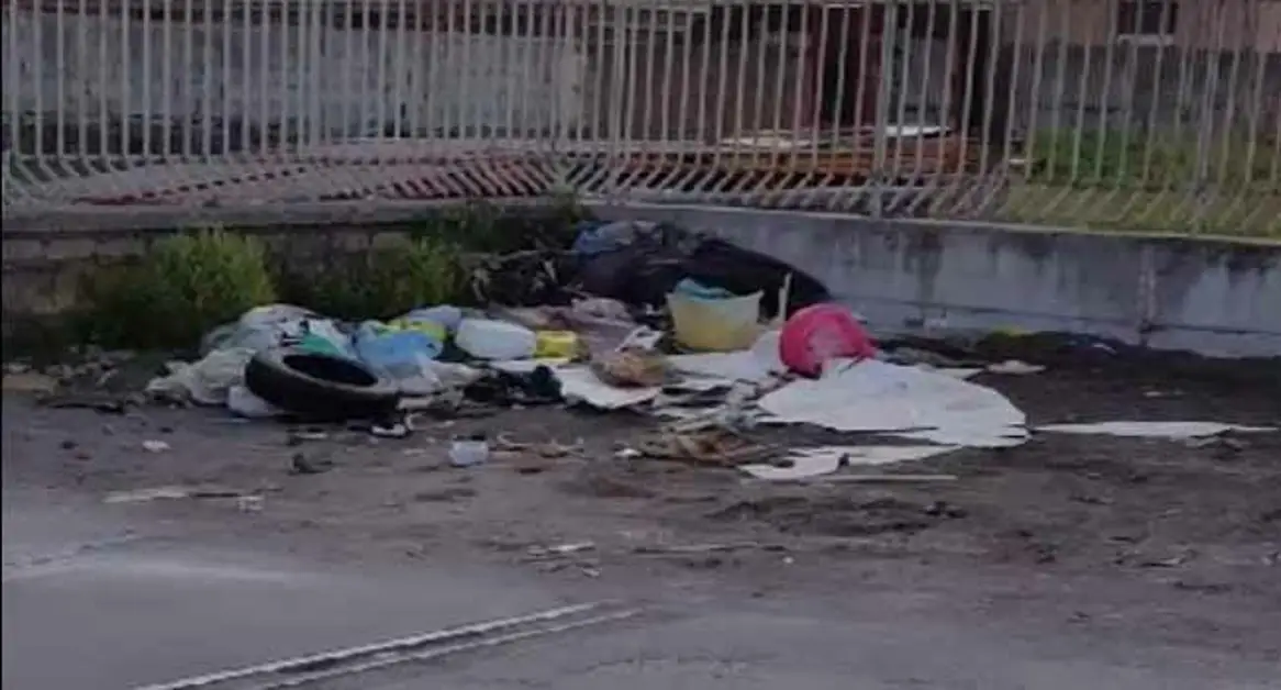 Torre Annunziata - Rifiuti in via Terragneta, l'assessore Colletto: "Trasgressori saranno individuati"