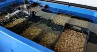 Pozzuoli (NA) - Maxi sequestro di frutti di mare: una tonnellata distrutta in mare