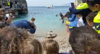 Sorrento - A Marina di Puolo rimesse in libertà tre tartarughe