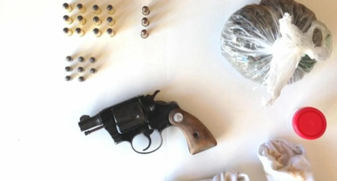 Castellammare - Pistola, cartucce e droga in uno stabile: marijuana scovata dai cani Kira e Nike