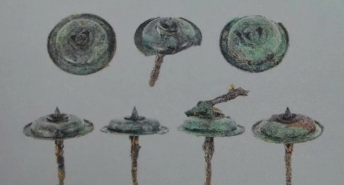 Pompei -  Precisazioni dei sindacati sulla sparizione della borchia di bronzo negli Scavi 