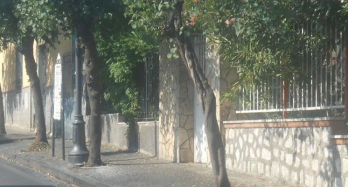 Trecase - Via Vesuvio, gli alberi "piangenti" e i pericoli per i pedoni