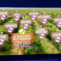 RAI 3. Il caffè di nuovo nell'occhio del ciclone