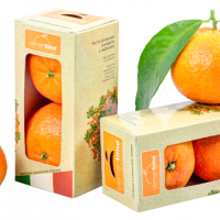 Clementime. La natura abbraccia chi la sceglie