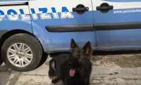 Giugliano (NA) Droga in casa fiutata dal cane Naik, arrestata coppia di coniugi