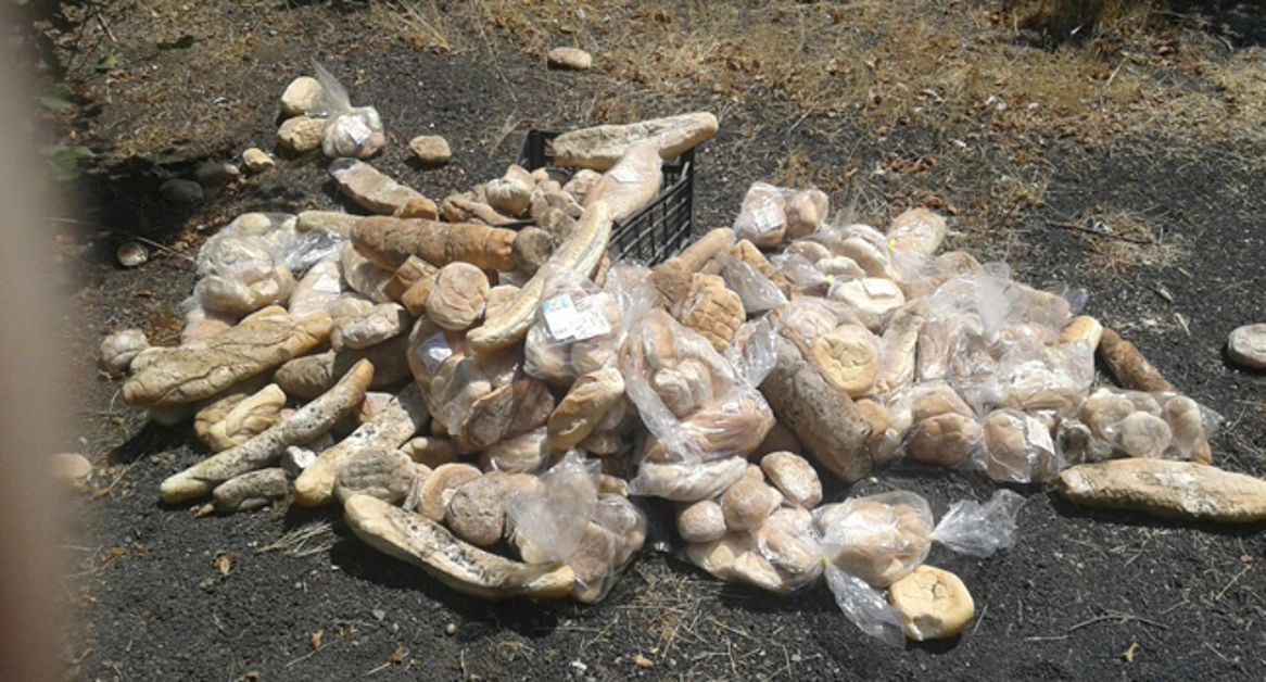 Terzigno - Pane e panini smaltiti... in discarica