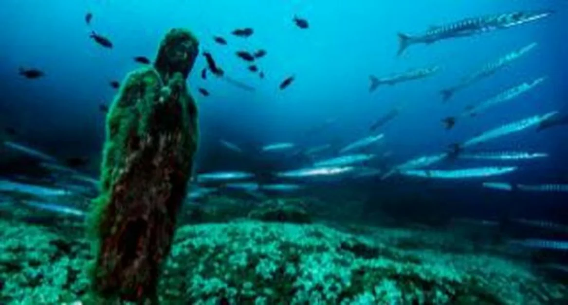 Parco Marino di Punta Campanella, concluso corso di Biologia marina