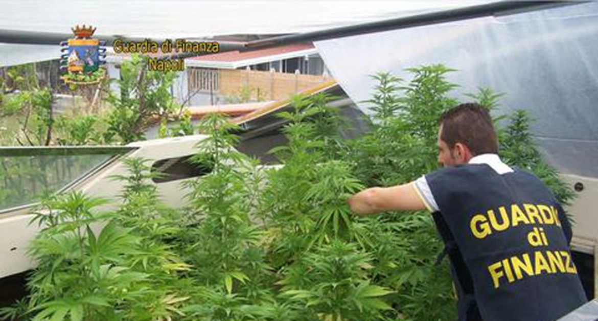 Castellammare di Stabia - Coltivava marijuana su una barca, arrestato 33enne