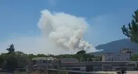 Incendi nel Parco Nazionale del Vesuvio, vera e propria catastrofe
