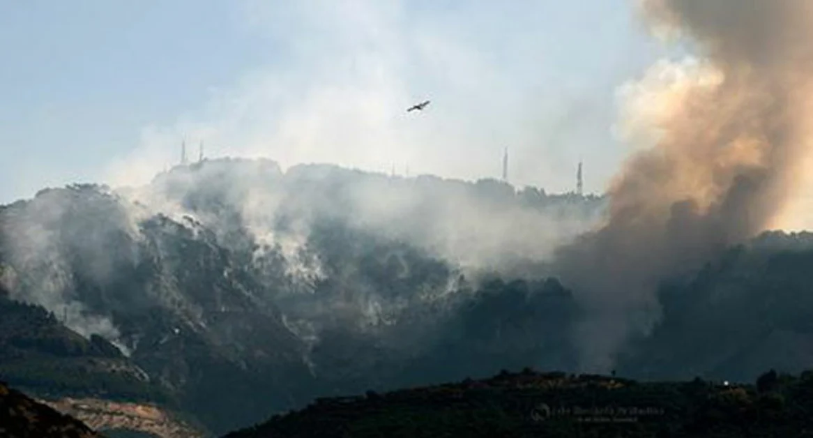 Castellammare di Stabia/Vico Equense - Fiamme sul Monte Faito, mezzi di soccorso in azione
