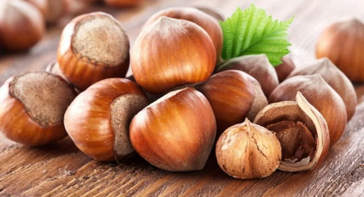 Terzigno - La prima edizione della Sagra della Nocciola in Località Boccia al Mauro