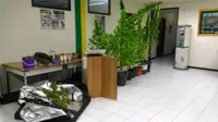 Avellino - GdF sequestra mille dosi di marijuana, business da 10mila euro