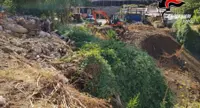 Agerola - Stoccaggio e trattamento rifiuti speciali in area "vincolata", sei denunce