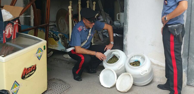 Terzigno - Oltre 3 kg di marijuana nel garage-deposito del bar, arrestata stabiese