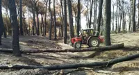 Parco Nazionale del Vesuvio, messa in sicurezza aree distrutte dagli incendi