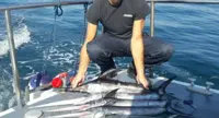 Torre del Greco - Pesca di frodo, sequestrata "trappola" in mare: all'amo giovani pesci spada e una lampuga
