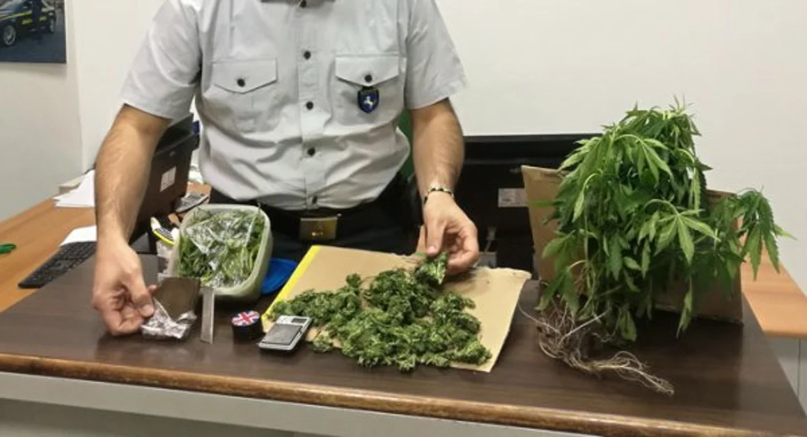 Casapulla (CE) - Spaccio di droga in villa comunale, arrestato 20enne