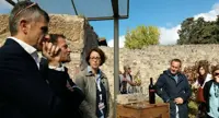 Pompei - Il vino degli Scavi, presentata la vendemmia 2017