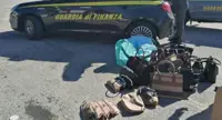 Caserrta - Vendita di capi d'abbigliamento contraffatti, raffica di sanzioni e denunce