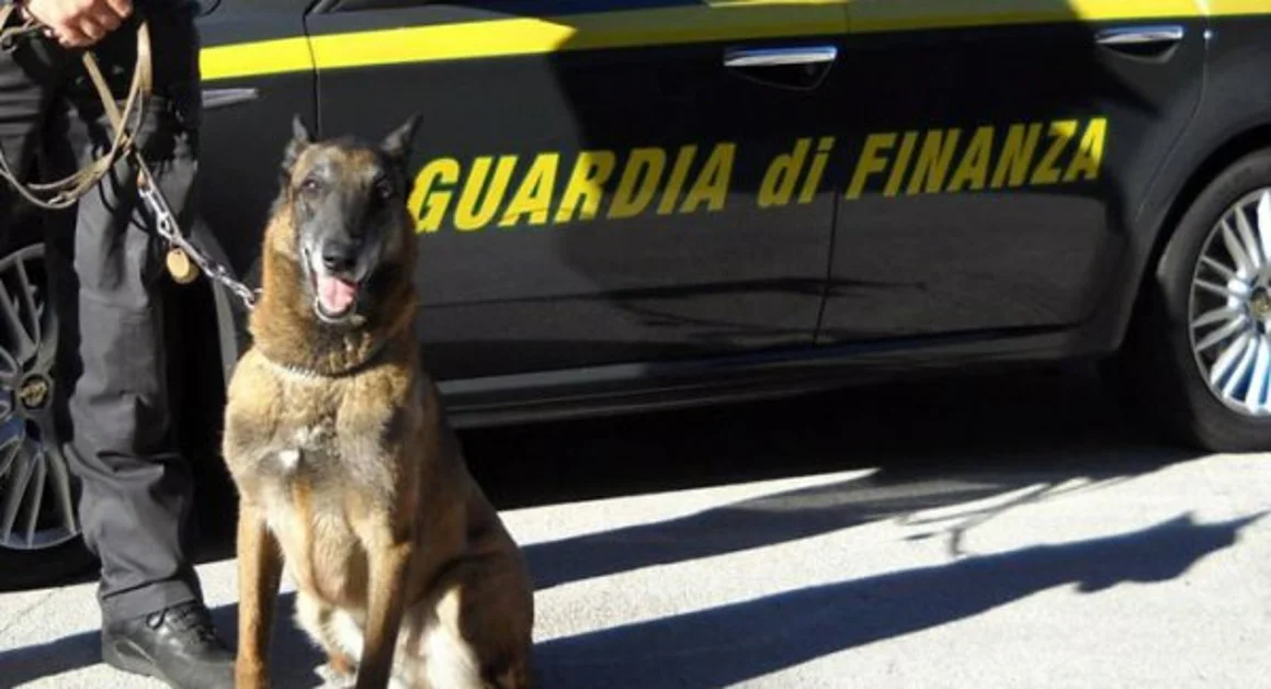 Vallo della Lucania (SA) - Droga all'uscita dalla disco, tre ragazzi segnalati alla Prefettura