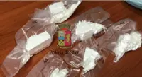 Acerra (NA) - Cocaina tra i rifiuti, sequestro della Polizia