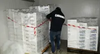 Mugnano (NA) - Pesce fresco refrigerato senza tracciabilità in un deposito