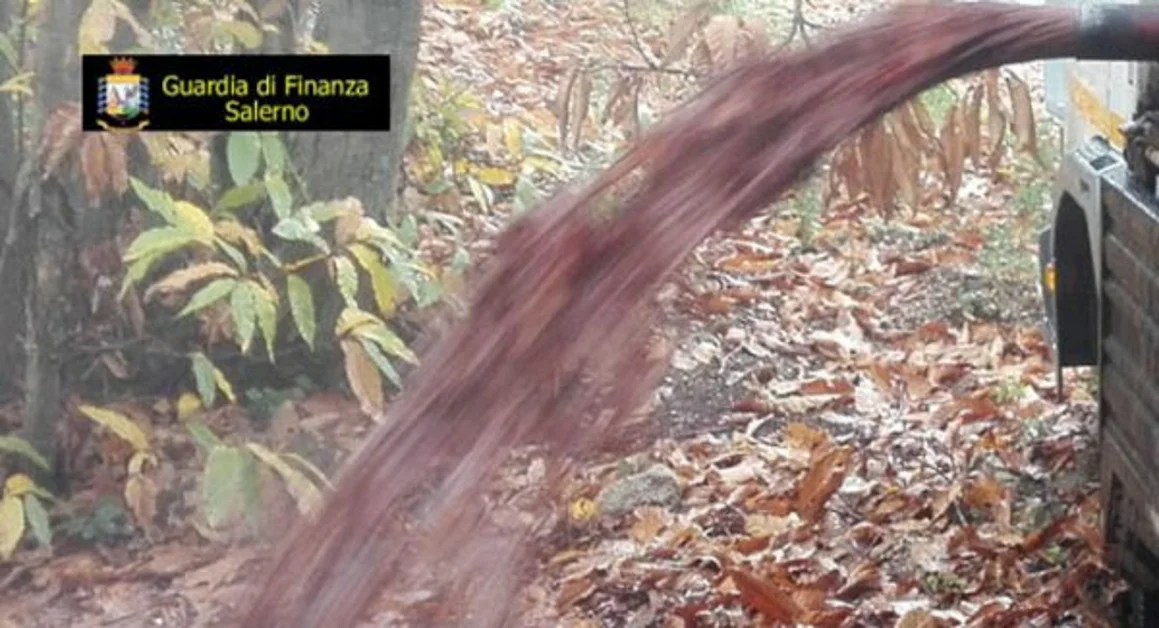 Salerno - Sequestrati autolavaggio e frantoio per reati ambientali