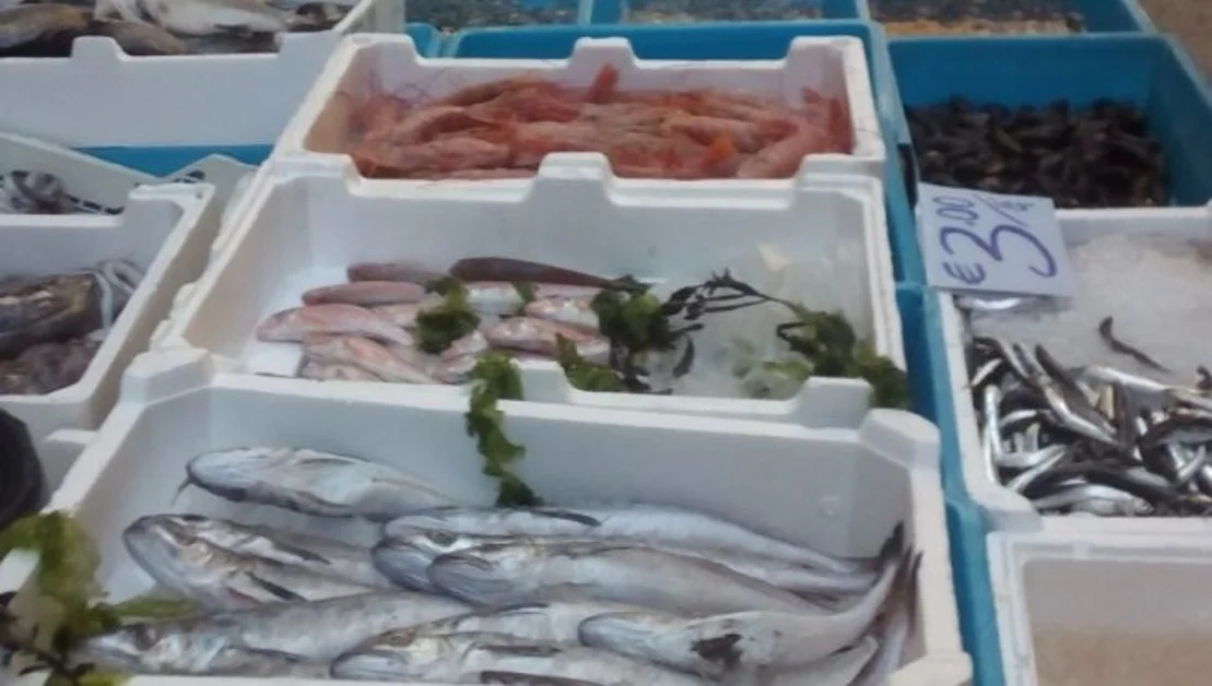 Torre del Greco/Portici - Prodotti ittici mal conservati, sequestro di 3 quintali
