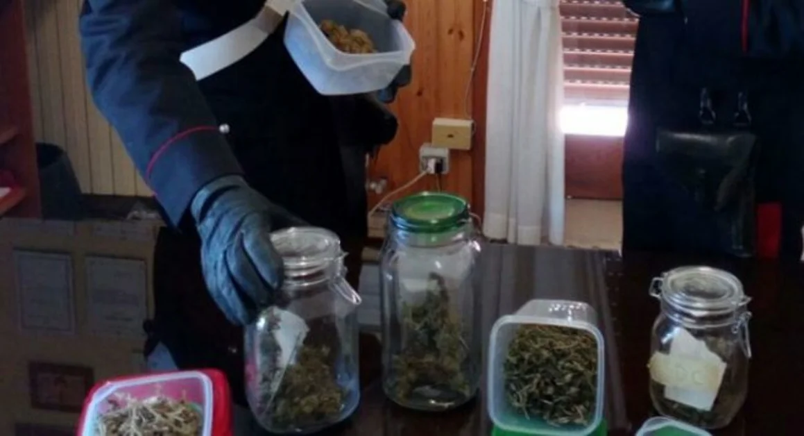 Agerola - Trovato in possesso di marijuana, arrestato incensurato