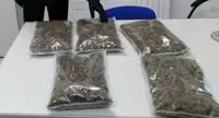 Giugliano (NA) - In auto con 5 kg di marijuana, arrestati