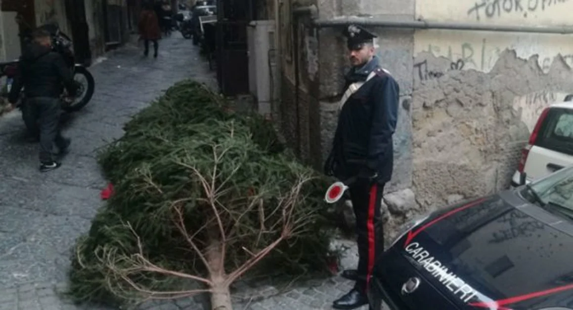 Napoli - Era stato rubato, ritrovato l'albero di Natale della galleria Umberto I