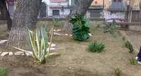 Torre Annunziata - Il Comune fa «adottare» spazi e aree verdi pubblici