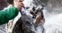 San Giorgio a Cremano - Bombolette spray per Carnevale, pugno duro del sindaco: «Fino a 500 euro di multa»
