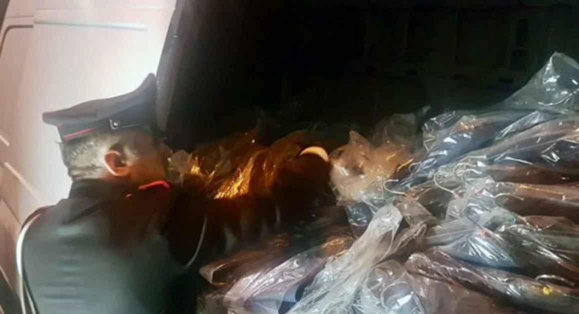S. Maria La Carità - Furto di capi d'abbigliamento per 500mila euro, quattro arresti per ricettazione