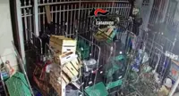 Pompei - Rubano casse di bibite dal deposito di un supermercato, arrestati due fratelli