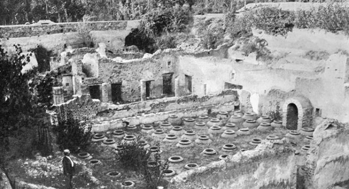 Le ville rustiche e le condizioni agricole e del commercio dell’Antica Pompei