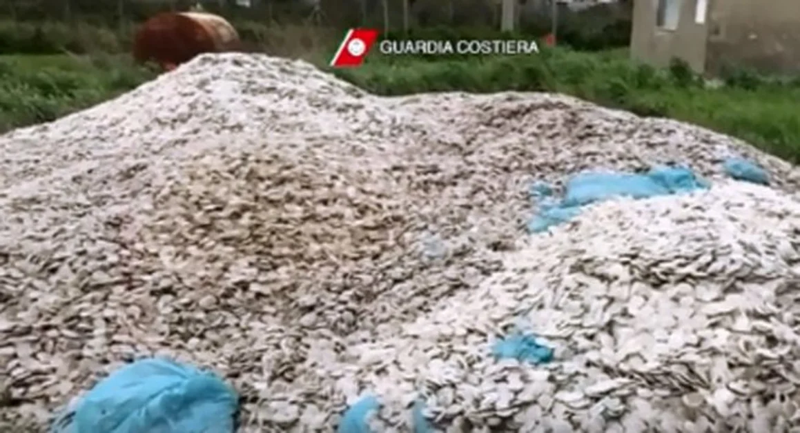 Il "giallo" dei dischetti sul litorale campano, risolto il mistero: impianto di depurazione difettoso